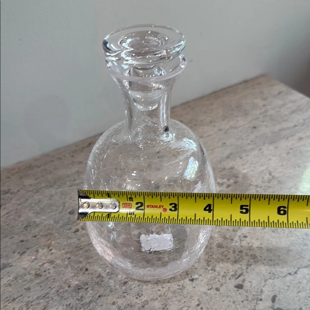 West Elm Elegant Crackle Glass Decanter